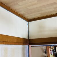 画像1505